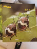 生命的故事第3辑（共10册）（3-6岁儿童科普绘本昆虫动物百科全书用实拍大图记录生命的成长过程果壳、无穷小亮推荐）新版(中国环境标志绿色印刷) 晒单实拍图