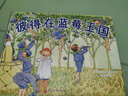 彼得在蓝莓王国 国际绘本大师作品（瑞典国宝级绘本大师艾莎 贝斯蔻作品）糖果鱼童书出品 实拍图