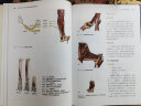 骨科神经病学—神经定位诊断指南（第2版） 实拍图