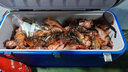 伊酷达（ECOODA）虹道小船竿20-30号碳素实心竿稍轻型船钓竿近海小船杆底钓鱼竿 2.13m 30号 枪柄（负荷20-70#） 实拍图