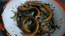 AFW虾笼饵料虾饵龙虾河虾螃蟹泥鳅黄鳝诱饵鱼网捕鱼笼捕虾网虾笼饵料 1包装-200克 实拍图