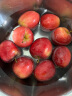 辛鲜美海棠果 东北沙果特产K9果酸甜小苹果孕妇新鲜当季水果 5斤 晒单实拍图