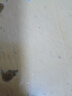 维达（vinda）卷纸蓝色经典有芯卷纸加厚高克重卫生纸巾家用有芯卷筒纸厕纸 180g20卷 晒单实拍图