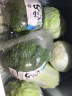 小汤山 北京 有机圆白菜 600g 基地直供新鲜蔬菜 实拍图