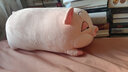 蓓斯曼独立内胆小猪抱枕趴猪公仔毛绒玩具女生抱着睡觉娃娃玩偶生日礼物 粉色小猪 70厘米抱枕（可拆洗） 实拍图