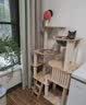 爱它美（AITAMEI） 魅宠 猫爬架猫窝猫树一体猫抓板大型太空舱通天柱猫架子猫咪别墅 豪华樱桃款YT-02 实拍图