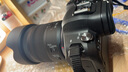 佳能r6 打鸟摄影器材全画幅微单vlog相机 机身4K拍摄小型轻量微单相机 R6单机身拆【不含镜头 建议选购套装】 官方标配【不含内存卡相机包等必要配件 推荐选套餐】 实拍图