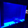 汉霸超白玻璃鱼缸 生态底滤循环系统 鱼缸客厅 家用智能懒人 水族箱 银+白 屏风款1.0米长x40cm宽x82cm+71cm高 实拍图