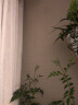嘉宝莉（CARPOLY）瓷砖翻新漆卫生间瓷砖玻璃防滑砖釉面砖仿古砖翻新改色旧瓷砖油漆 茶白色 1kg高度耐磨【可刷约5㎡两遍】 晒单实拍图