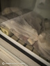 森森（SUNSUN）鱼缸过滤材料细菌屋玻璃环生化球麦饭石水族滤材过滤用品 小号方形细菌屋(20根)【贈水质安定剂胶囊】 实拍图