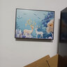 Sixpoetry电表箱装饰画免打孔北欧配电箱壁画电闸总开关电表盒遮挡画挂画 BOD-16 40*30(容纳横长30*竖高20)悬挂式 实拍图