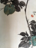 中国好丹青大师册页精品复制系列 原大级高清大图 任伯年花卉篇 实拍图