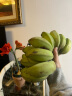 时寐广西正宗苹果蕉新鲜整箱当季水果芭蕉粉蕉自然熟香甜香蕉 5斤 基本够吃（购买率70％） 晒单实拍图