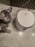 迪米兜（dimidou）宠物饮水机猫咪饮水器无线水泵智能自动循环过滤uv杀菌猫狗喂水器 【旗舰款】过滤柱净水饮水机 实拍图
