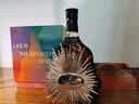 轩尼诗（Hennessy）洋酒 XO干邑白兰地法国进口700ml节日限定版礼盒中秋送礼 实拍图
