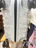 新秀丽经典贝壳拉杆箱男女超轻盈旅行行李箱升级版 26年度限定/米奇54C 20英寸 可扩展 实拍图