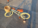 凤凰（Phoenix）儿童自行车3-6-10-13岁小男女孩学生脚踏车带辅助轮 向日葵系列 【爆】向日葵（带手工藤篮） 16寸【建议身高105-115cm】 实拍图