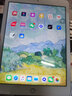 Apple/苹果 二手平板电脑 iPad ipad 2018款 99新 2019款（iPad7） 国行零售机） 32G  WiFi版（单机＋电脑包） 实拍图