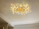 灯强 北欧风格灯具LED主卧室灯轻奢客厅大灯温馨浪漫花朵水晶吸顶灯 金色-30头-直径93cm三色变光 实拍图
