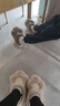 达西先森 爪爪冰棍 棉拖鞋女秋冬季可爱保暖毛拖鞋防滑居家软底拖鞋 实拍图