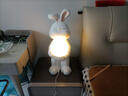 初见北欧落地灯客厅沙发旁可调光月球灯卧室床头设计感氛围灯立式摆件 大白兔落地灯【三色调光款】 实拍图