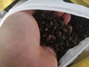 朵忆姿全荞麦枕头老虎枕护颈枕日韩养生枕午睡枕颈椎枕传统成人枕可拆洗 姜黄绿格 瑟调老虎枕(填充全荞麦壳) 实拍图