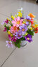 仿真花套装假花摆件塑料花含塑料花瓶干花花束仿真植物盆景绢花客厅阳台餐桌装饰花盆栽 混色跳兰菊+小号仿瓷瓶套装 实拍图