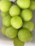振亿沭云南阳光玫瑰葡萄 新鲜晴王无籽香印提子 当季时令孕妇新鲜水果 净重 3斤 单果8-10g【优选装】 实拍图
