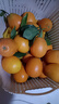 逮果重庆奉节脐橙纽荷尔春橙福本特级大果礼盒装时令新鲜孕妇水果橙子 净重9.3斤中果/65-70mm/21-27个 实拍图