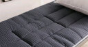 九洲鹿床垫软垫床褥0.9米垫子 可折叠保护垫学生宿舍榻榻米海绵垫被 实拍图