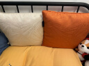 罗莱（LUOLAI）抱枕靠垫含芯 现代低奢靠枕沙发床头座椅腰枕可拆洗 流星金黄色 实拍图
