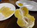鲜武士黄金葡萄柚 爆汁葡萄柚子 甜柚子台湾品种西柚 新鲜水果榨汁专用 葡萄柚8斤花皮 实拍图