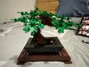 乐高（LEGO）积木拼装玩具 创意百变系列 10281盆景 18岁+ 六一儿童节礼物 实拍图