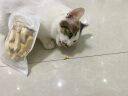 PetChoice爪子心选猫咪零食冻干宠物狗狗鸡胸肉多春鱼三文鱼干鸭肉牛肝蛋黄 鸡胸肉冻干50g（限时买1送1） 实拍图