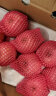 京鲜生烟台红富士苹果5kg 一级果 单果190g以上 新鲜水果礼盒  实拍图