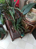 华观家居（Home Giving Furniture）凳子实木花架客厅花盆简约现代阳台木制阶梯多肉绿箩植物组合花架 实拍图