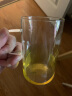 尚明samadoyo CP-32/2 2只装耐热玻璃杯家用无铅无盖圆形透明茶杯直身牛奶水杯子带手把  直身带把 300ml 实拍图