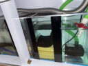 欧宝 鱼缸玻璃生态水族箱子弹头家用客厅屏风金鱼缸大型可定制 弧门款 侧滤 1.2米长 实拍图