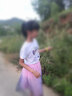 蓝贝妮童装女童夏季套装2025新款女孩裙子短袖洋气夏装儿童衣服大童女装 粉色 160 码建议身高150CM 实拍图