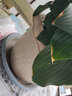 爱丽思（IRIS）爱丽思树脂波纹浮雕加厚花盆多肉绿萝植物塑料懒人家用花盆 5号浅米色 1个盆＋1个托【省心组合】 实拍图