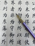 善琏湖笔 钢笔式毛笔套装小楷软笔书法笔可加墨可换芯自带墨水便携式礼盒装文房四宝 紫棠钢笔式毛笔 实拍图