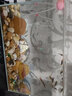 森森（SUNSUN）锦鲤鱼缸增氧泵冲氧机水族箱加氧机家用养鱼鱼缸静音氧气泵大气量 CT-101单孔+气石气管套餐 实拍图