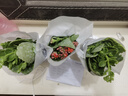 萌肉居长寿花盆栽绿植盆栽卉盆景桌面盆栽/长寿花大红+早安盆源头直发 实拍图