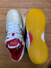 斯帝卡（Stiga）乒乓球鞋男夏季女斯蒂卡专业级超轻耐磨牛筋底乒乓球运动鞋 G1108013 珍珠白红色 37 实拍图