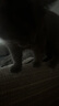 喵仙儿猫抓板窝剑麻垫耐磨不掉屑保护沙发猫爪板垫子宠物用品 实拍图
