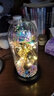 鱼七秒永生花玫瑰花平安夜夜灯摆件情人节生日礼物女生圣诞节送妈妈女友 彩色永生花玻璃罩小夜灯-暖灯 实拍图