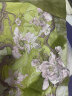 十三余小豆蔻儿[风祈春至]春季重工刺绣粉紫大袖衫吊带裙汉服女 改良大袖衫(双层) S 晒单实拍图