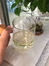 木笙玩物（MUSHENGWANWU）耐热茶水分离玻璃杯办公室泡茶杯过滤家用文艺水杯子男女个人专用 木笙初笙杯7B 实拍图