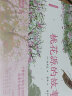蔡皋中国经典绘本（套装3册）桃花源的故事宝儿花木兰童书儿童绘本 实拍图