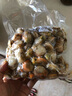 莲山九鲜新鲜冷冻扇贝肉蒜蓉粉丝扇贝生鲜贝类海鲜烧烤火锅食材 扇贝肉 1kg 实拍图